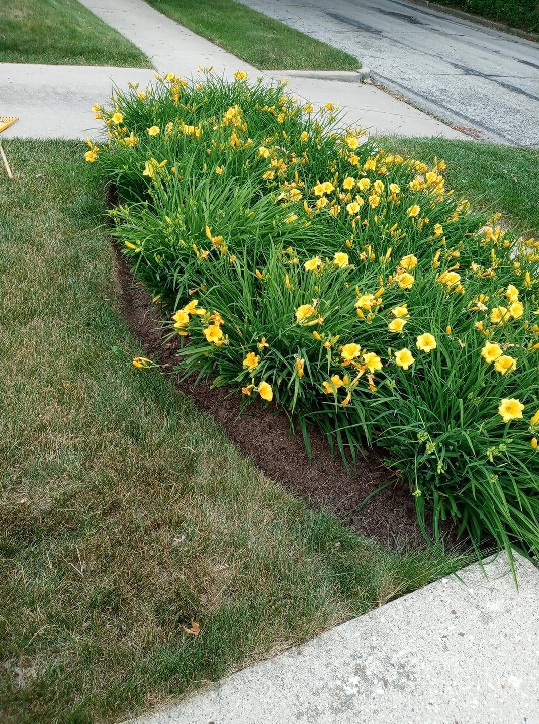 Jardines y Macizos de Flores. ALT Landscaping, Milwaukee