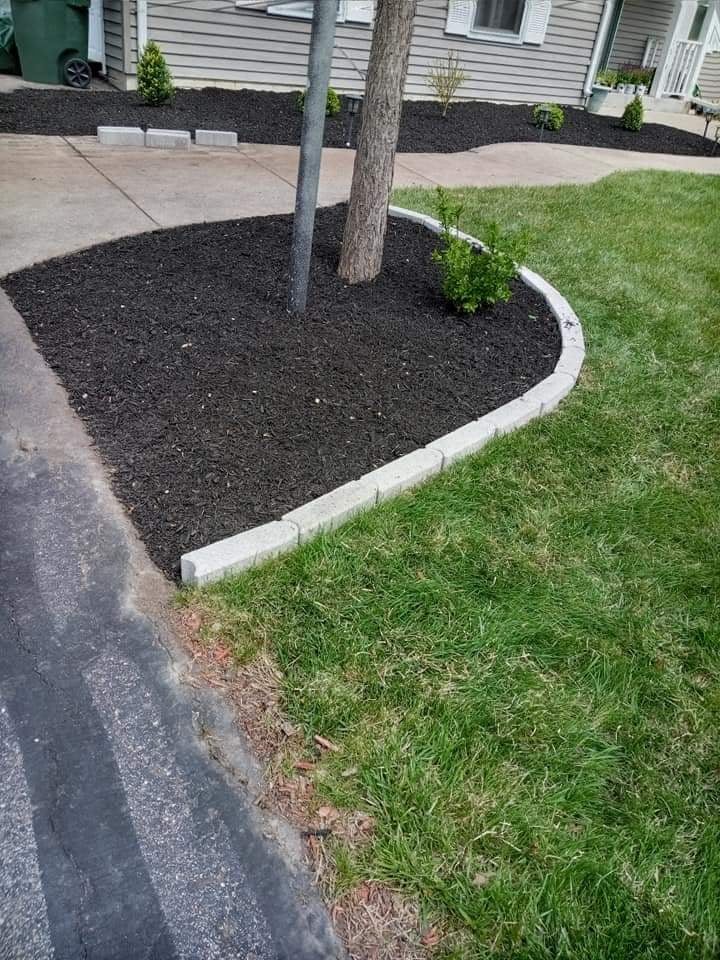 Un macizo curvo de mantillo negro alrededor del árbol del camellón, bordeado con blocks de concreto claro entre la entrada y la calle